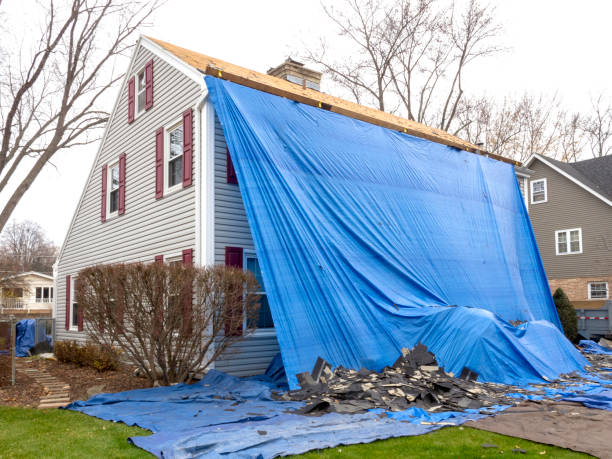 Best Shed Removal  in River Park, FL