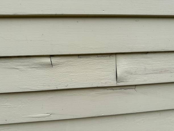 Best Hoarding Cleanup  in River Park, FL